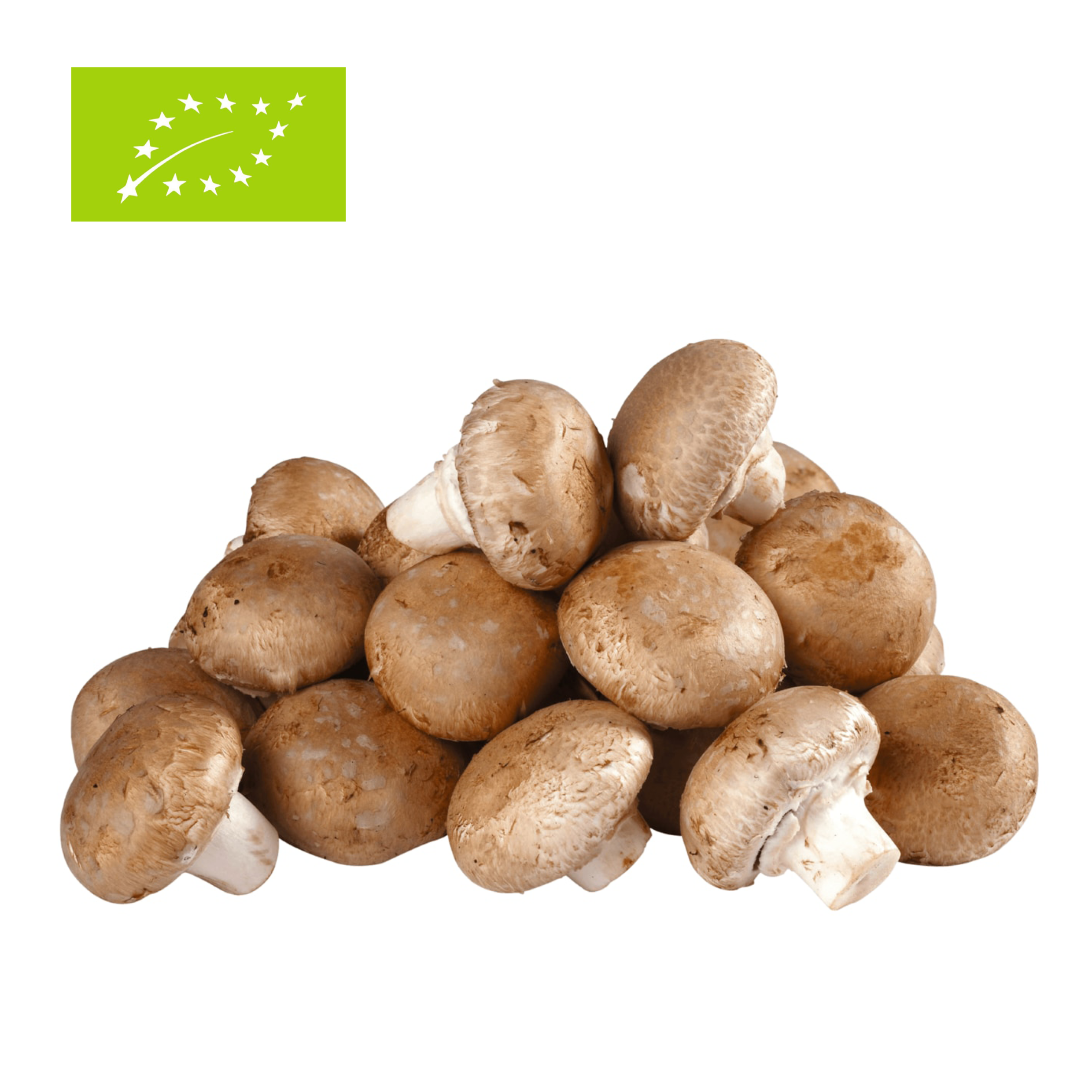 Bio Champignons 200g