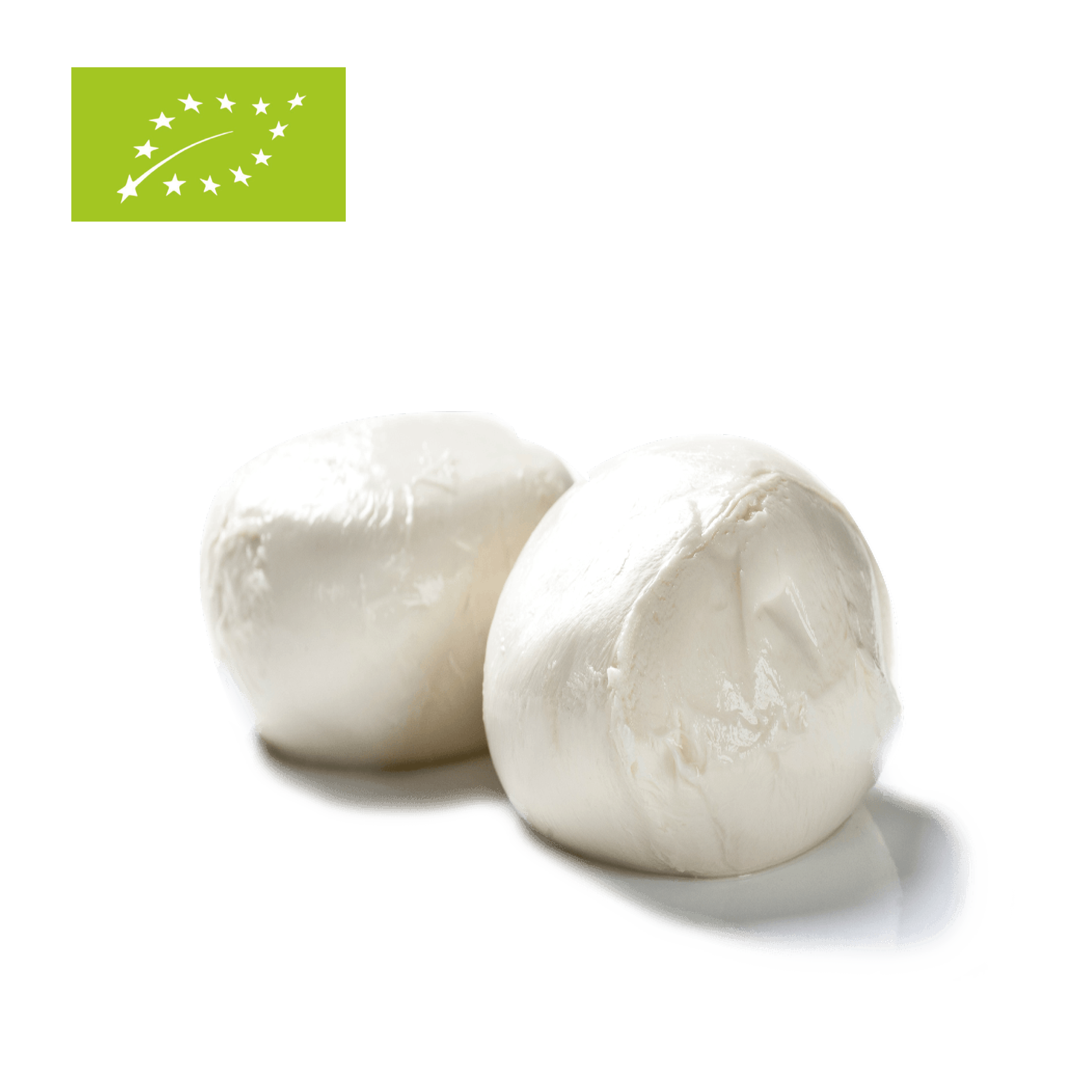 Bio Mozzarella 200g