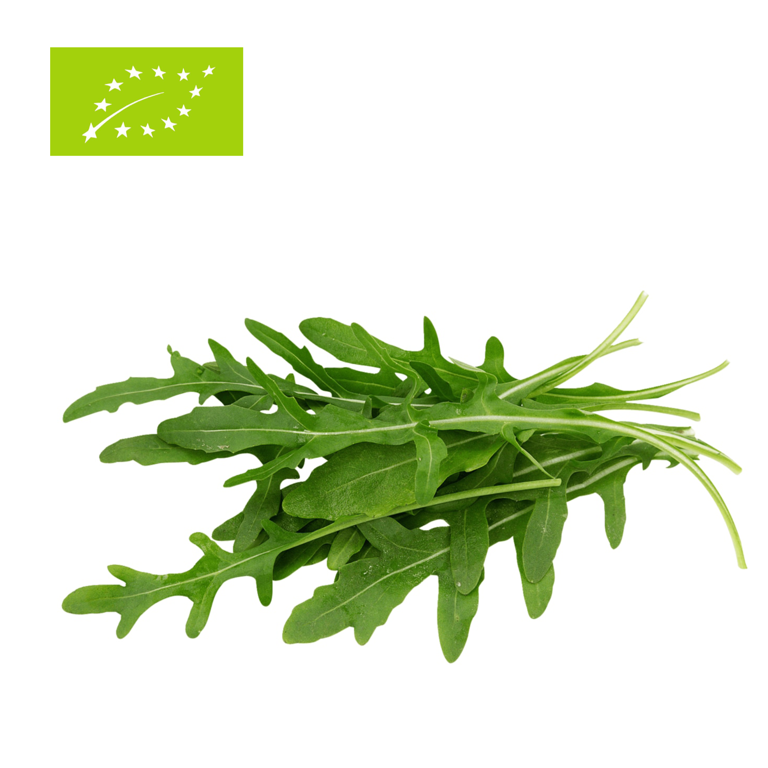 Bio Rucola 100g