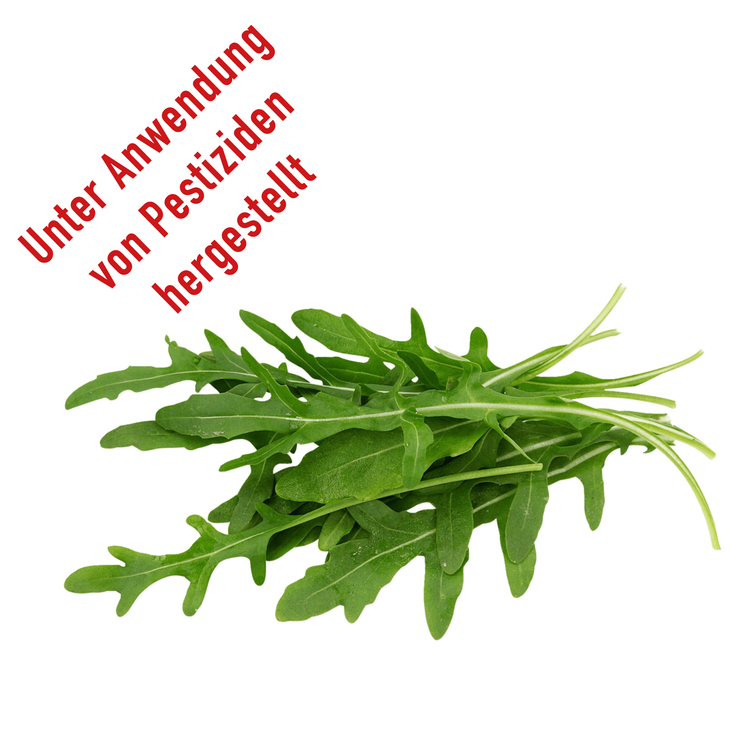 Rucola 100g