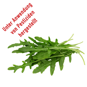 Rucola 100g