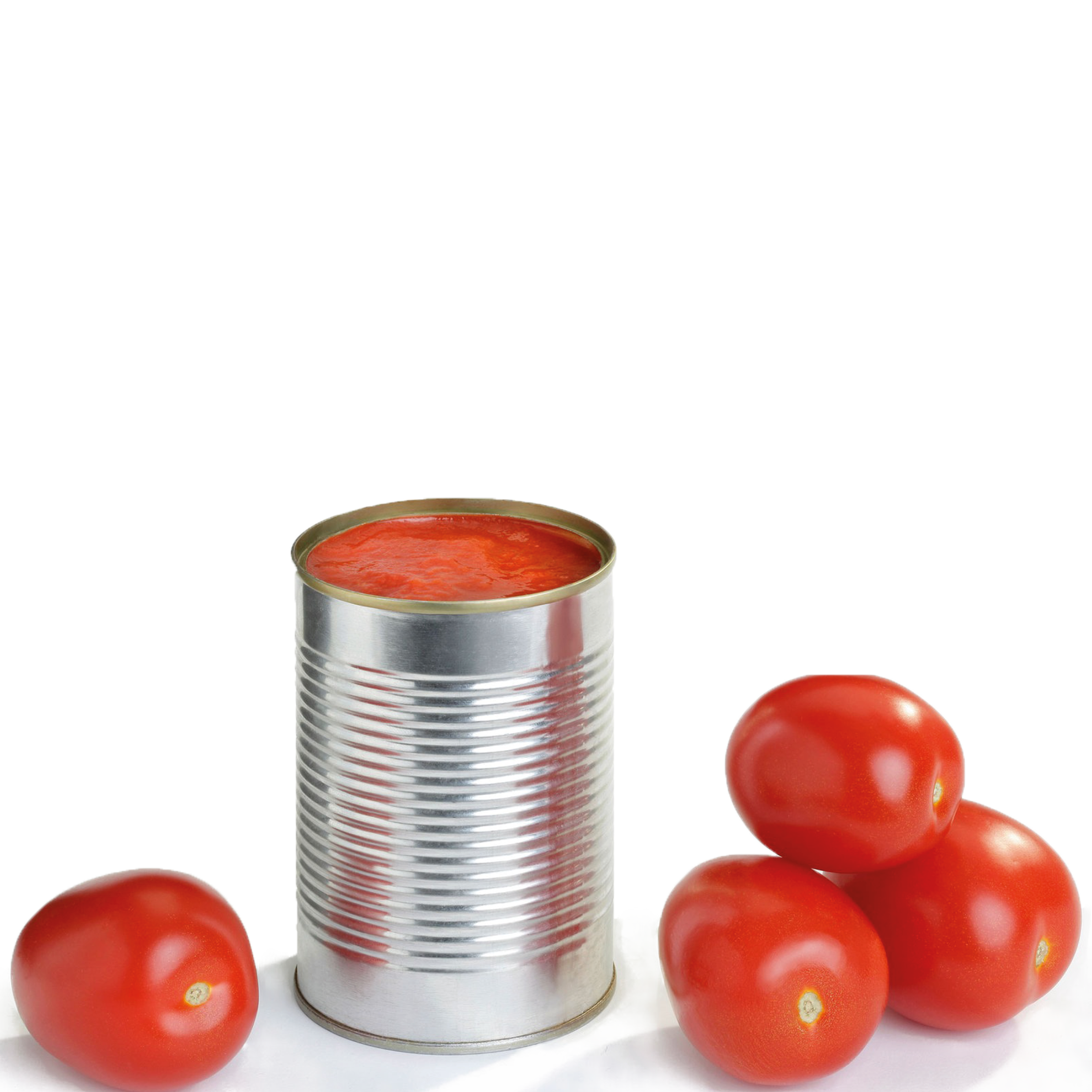 Tomatensoße - 4 Portionen